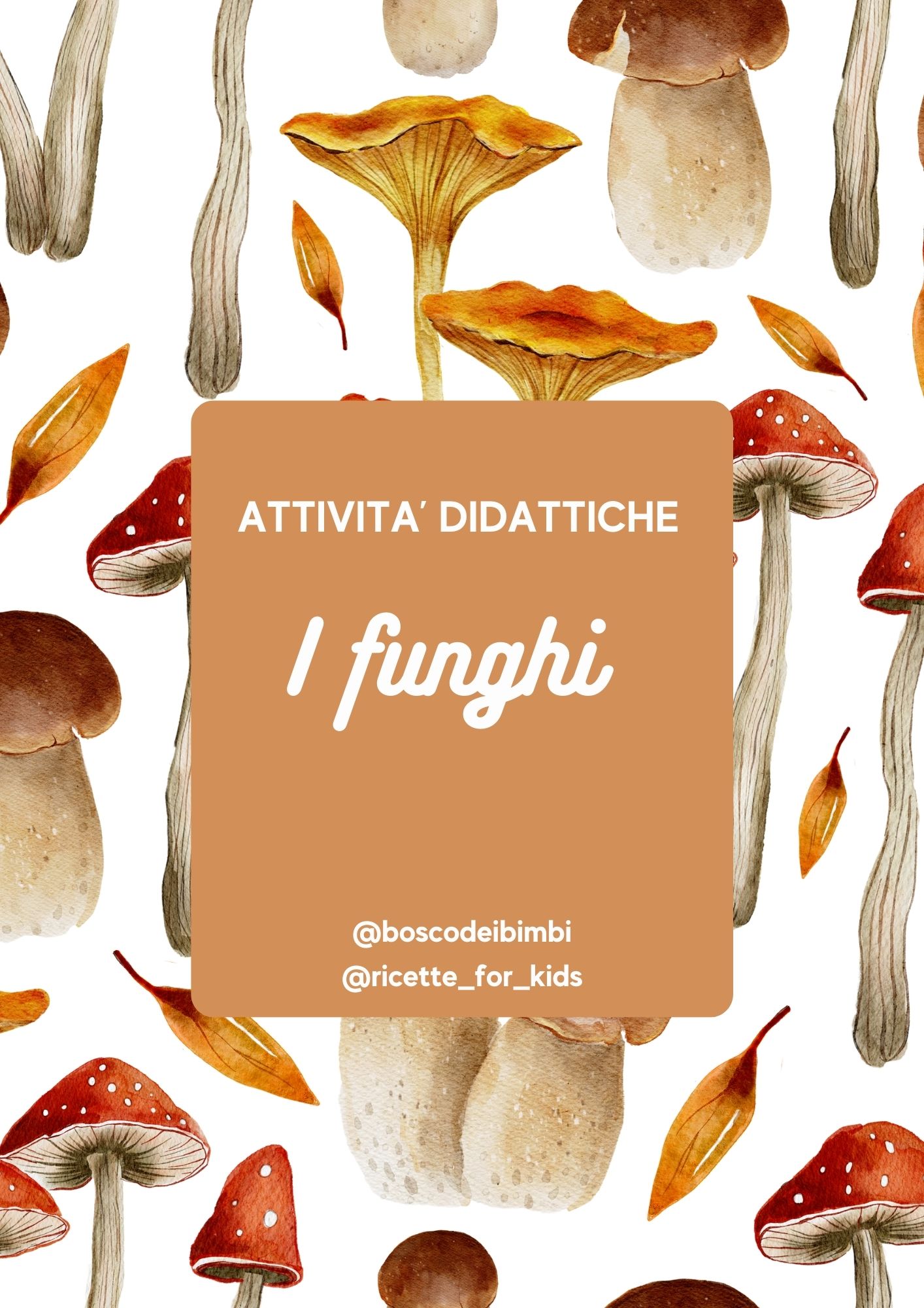 4) FUNGHI: : Attività, Lavoretti e Carte della Nomenclatura